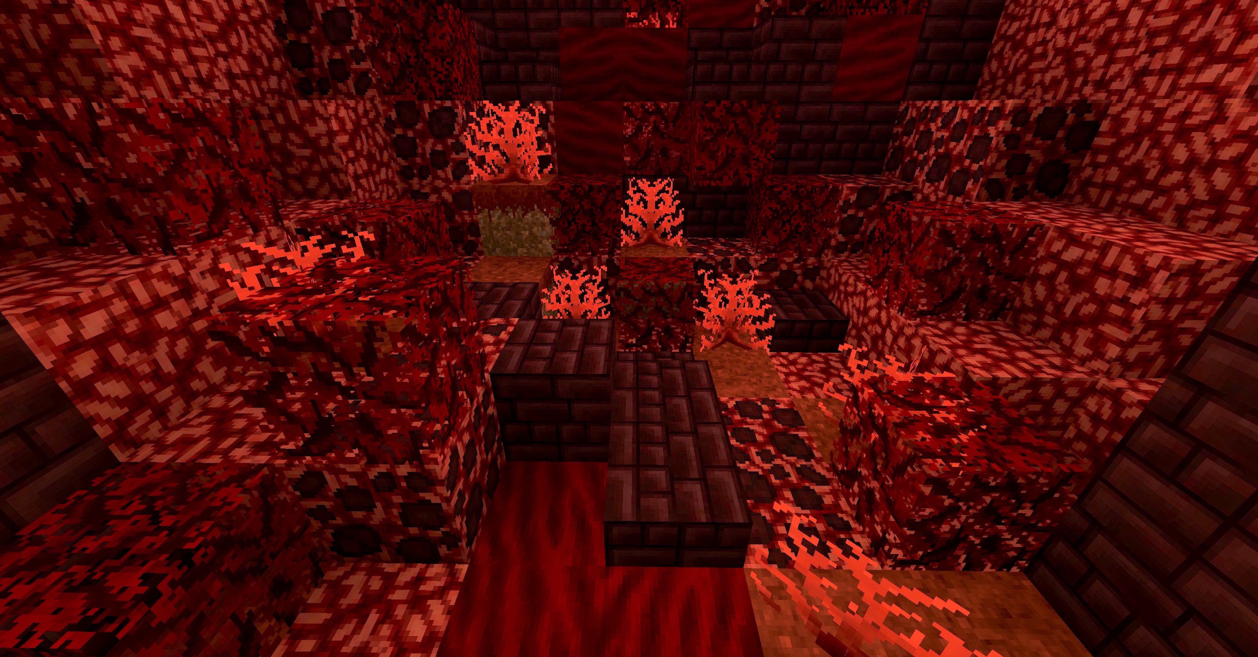 Biome Nether